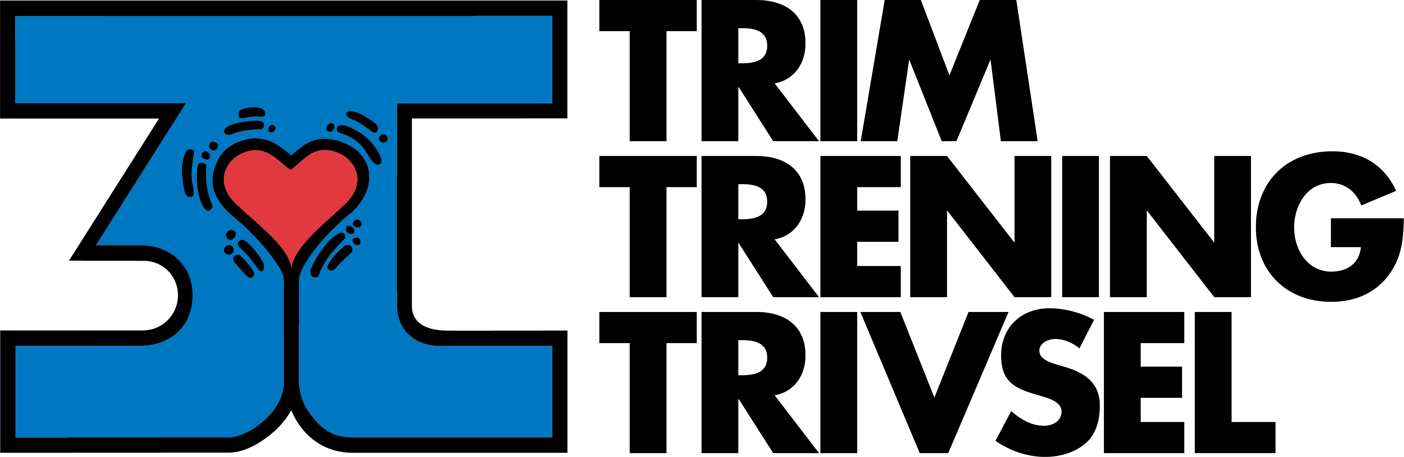 3T